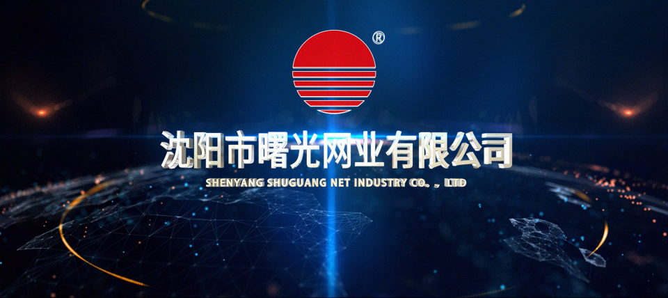 Shenyang Shuguang Network Industry